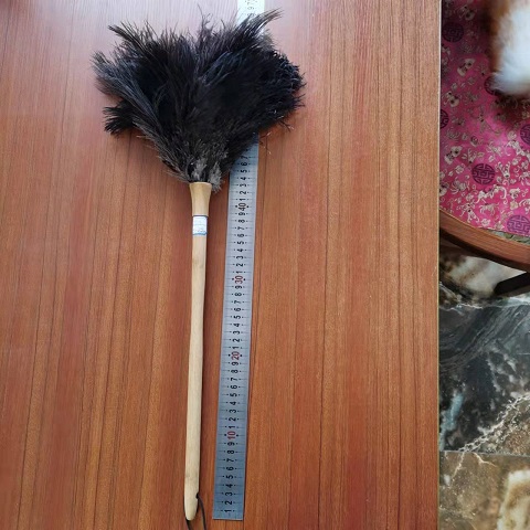 Ostrich feather duster with holster and beech handle