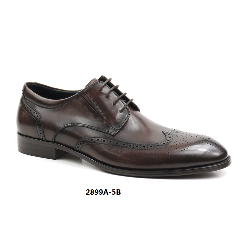Men's shoes, men's leather shoes, dress shoes