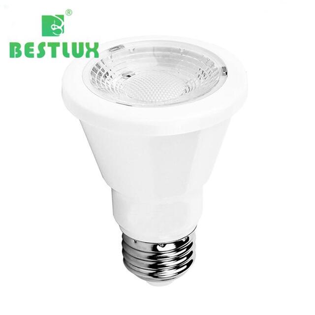 LED Par Light
