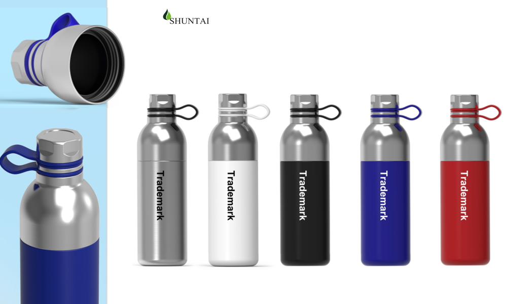 Insulated Bottle