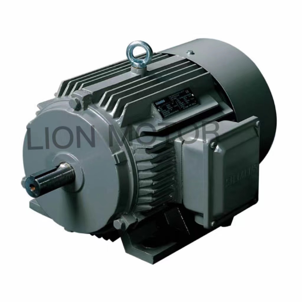 high efficiency motor
