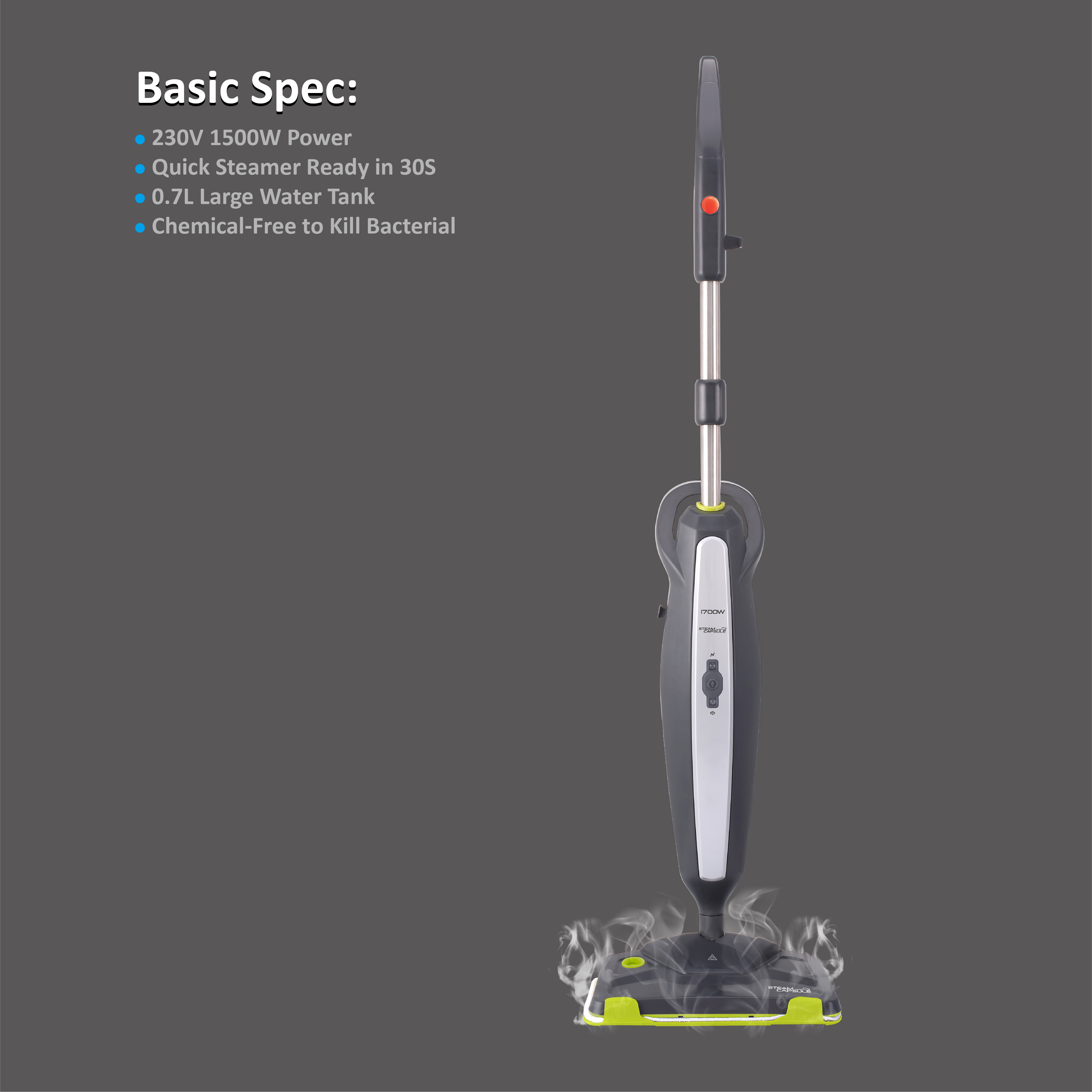 steam cleaner