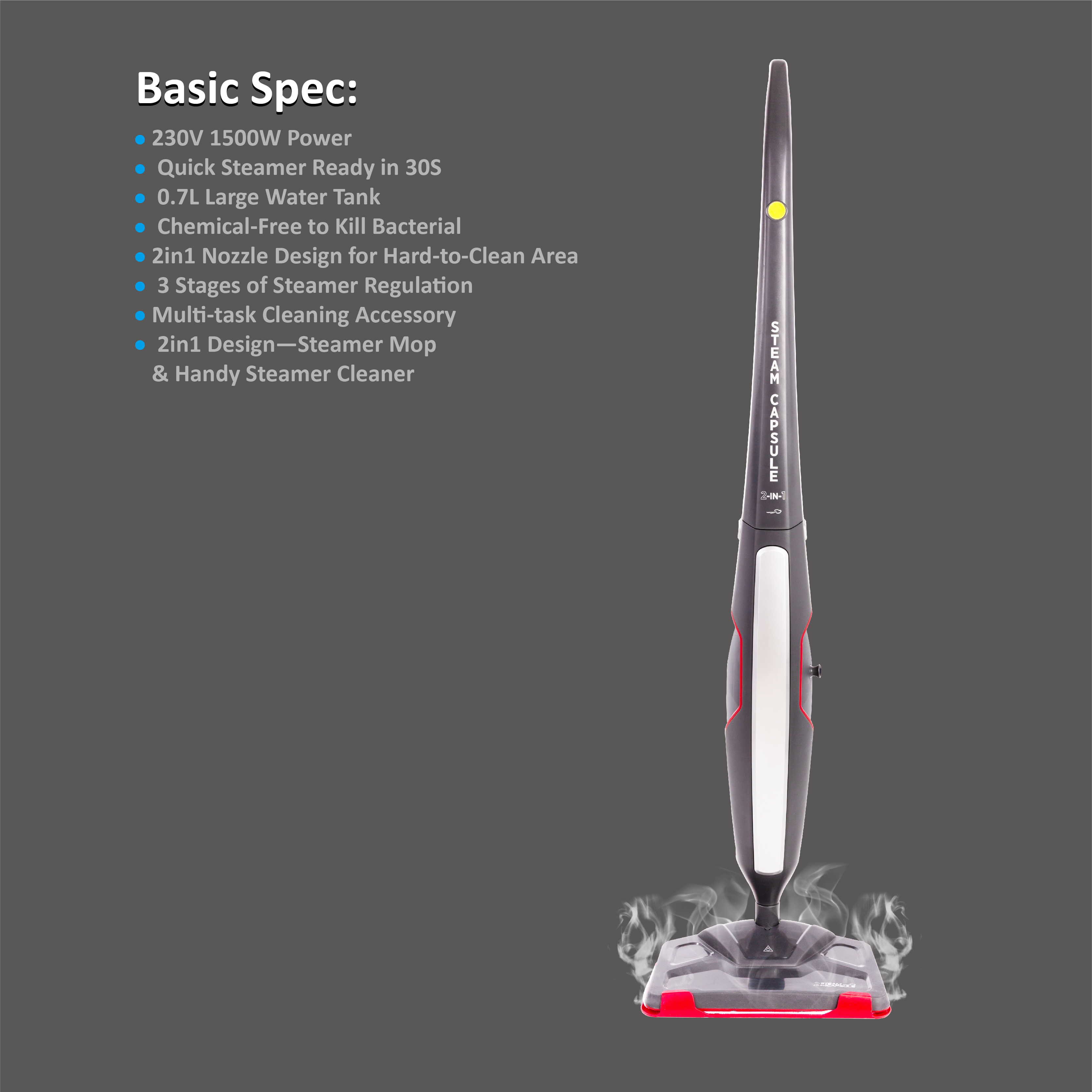 Steam cleaner