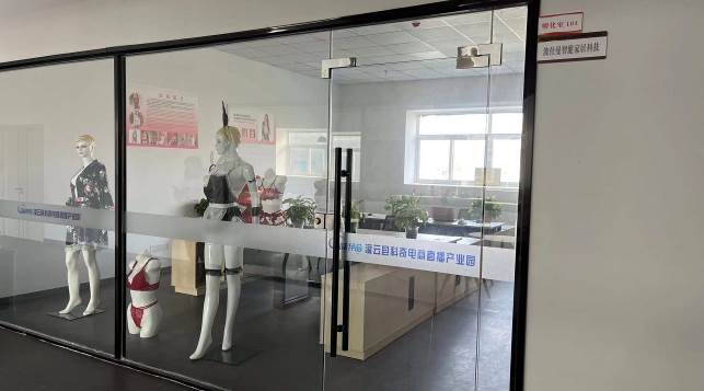 Jiangsu Bosman Smart Home Technology Co., Ltd. – Product photos 2