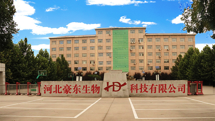 Hebei Haodong Biotechnology Co., Ltd. – café molido 1
