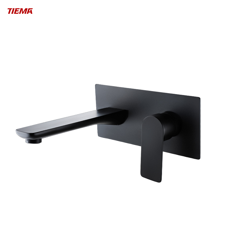 TIEMA Brass Concealed Basin Faucet zs28003