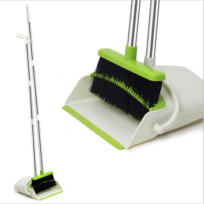 Dustpan with broom