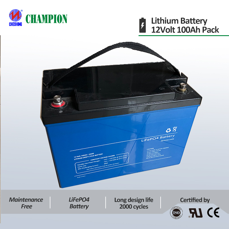LiFePO4 Battery /LFP 12V100AH