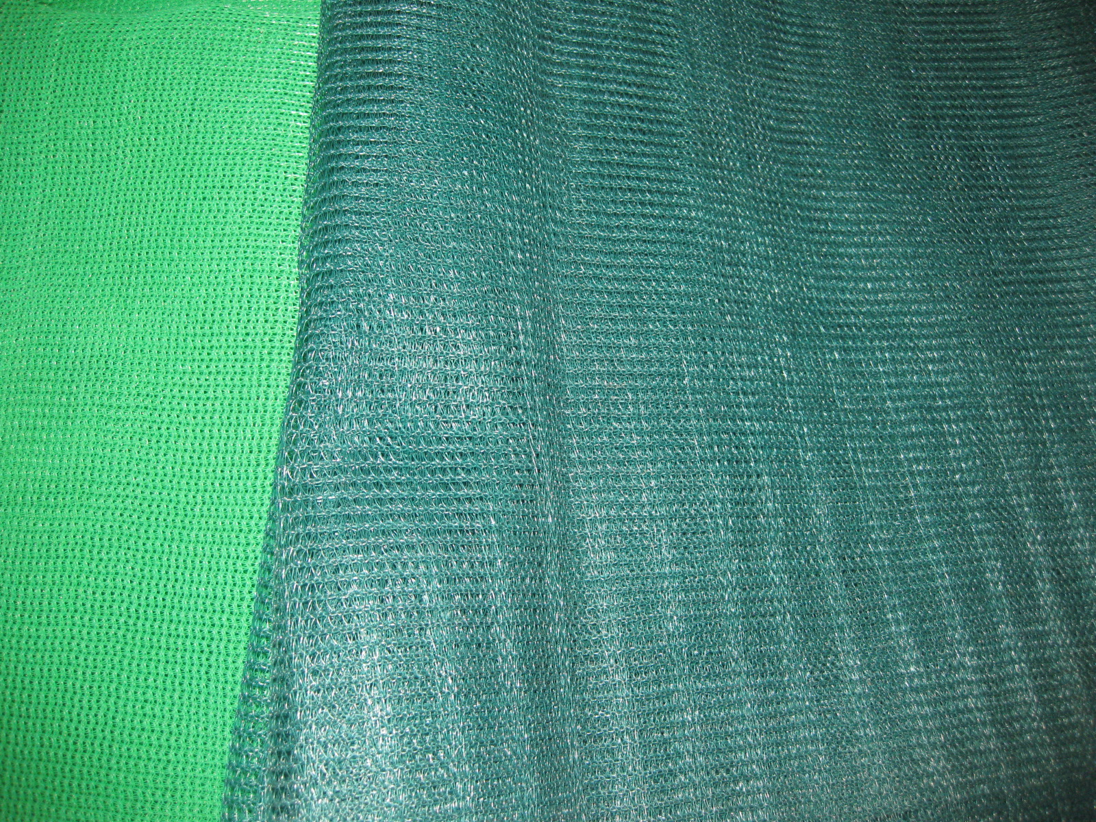 Olive net