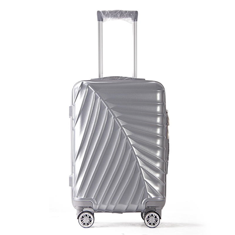 Luggage/suitcase