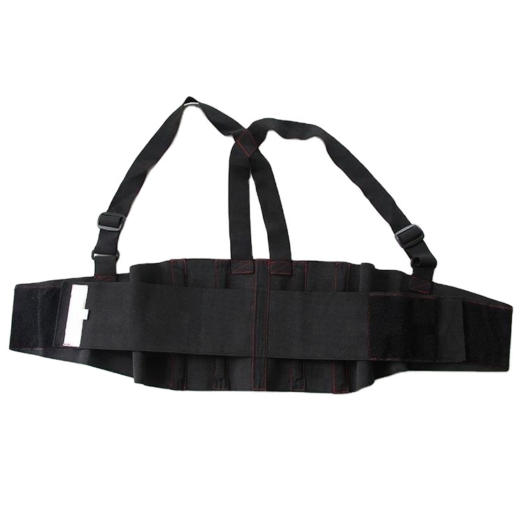 Back support belt