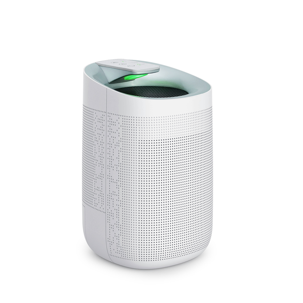 2-in-1 Semiconductor Dehumidifier with purification
