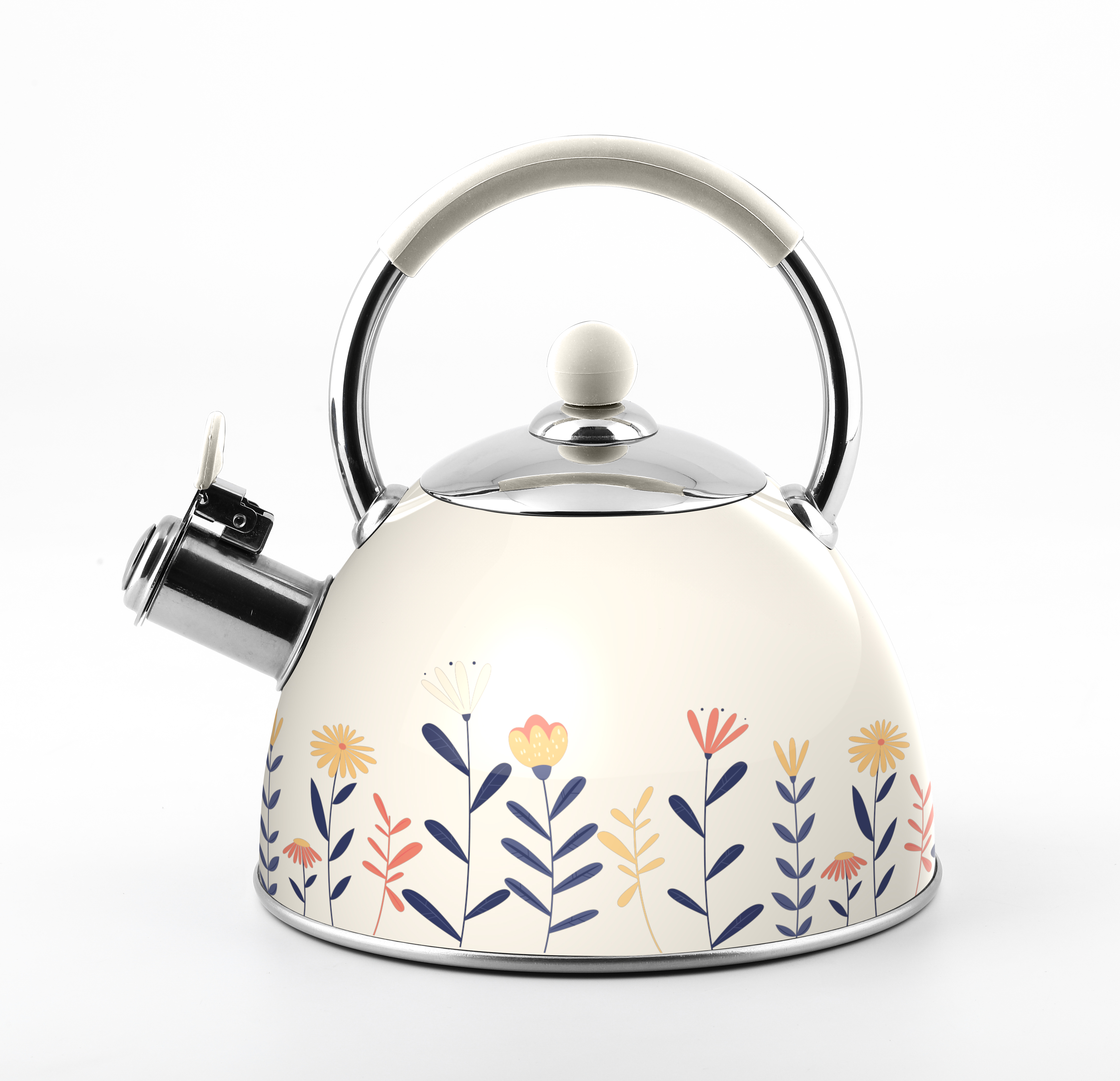 Stainless Steel Kettle