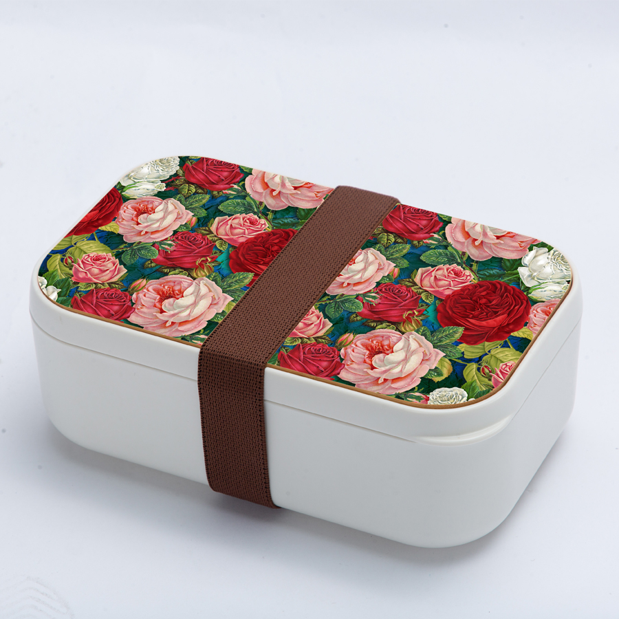 Lunch box lunch box lunch box lunch box lunch box lunch box lunch box lunch box lunch box lunch box