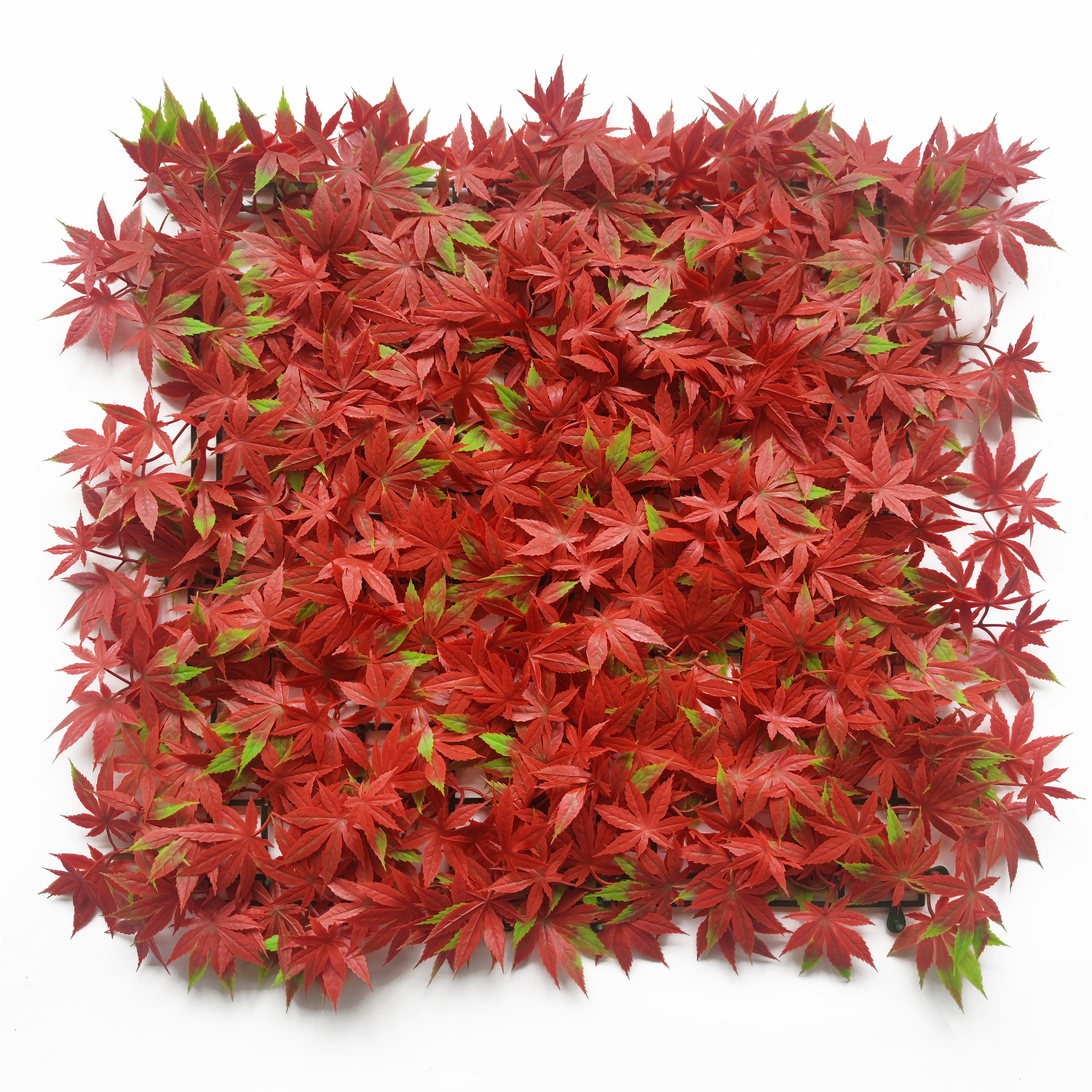 Jiangsu WMGrass Co.,LTD – figura decorativa 1