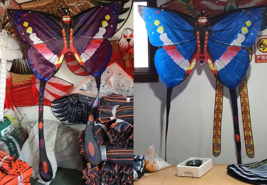 Kite with line