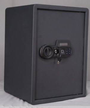 Home electronic safe