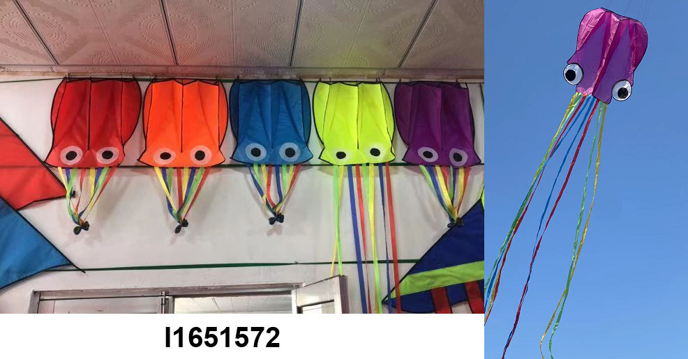 Kite with line