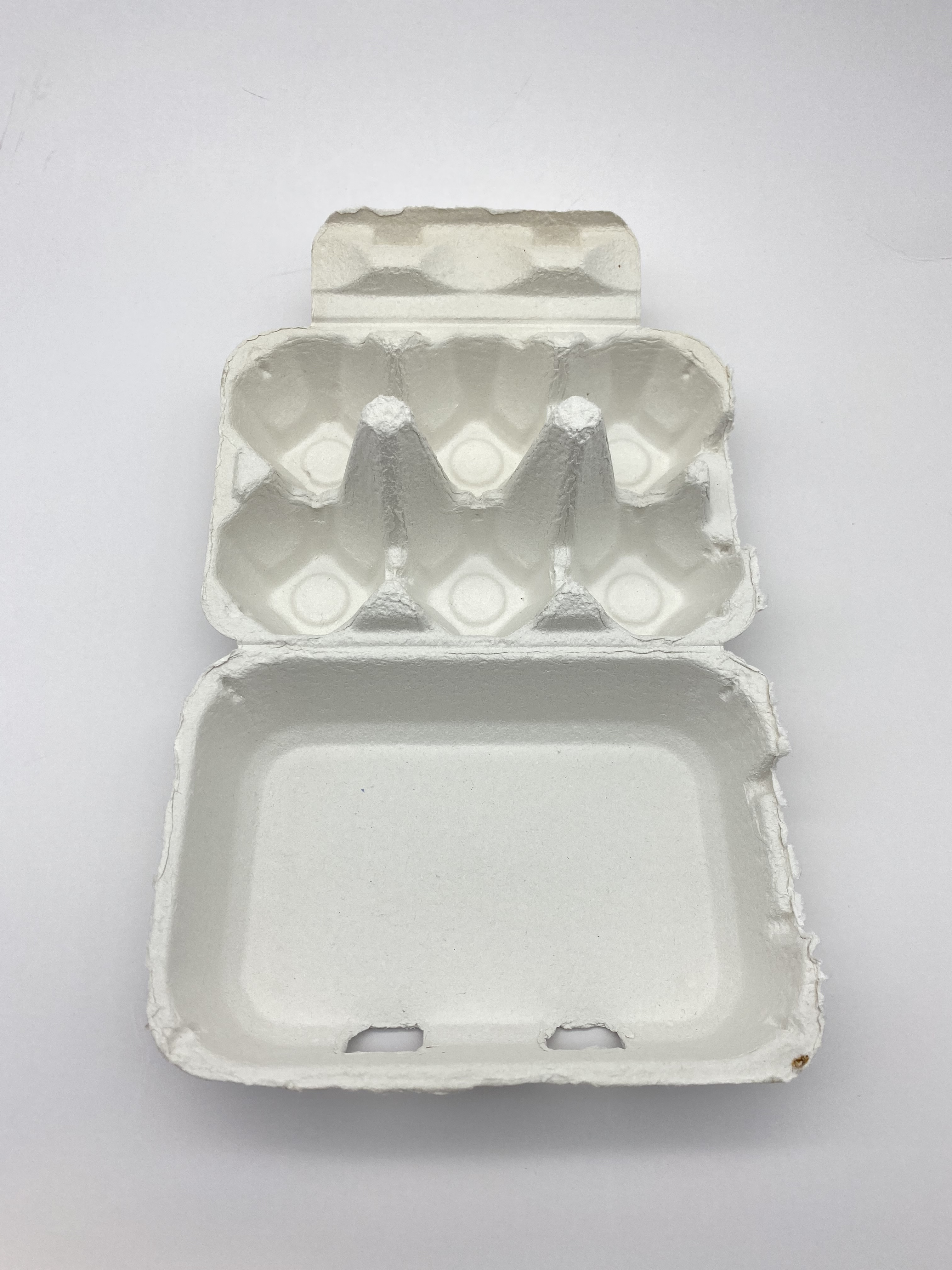 6 grid egg tray