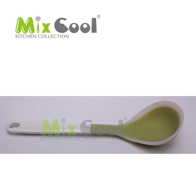 Ladle
