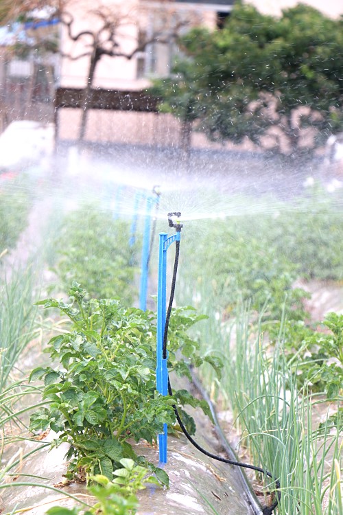 G type plastic micro sprinkler for irrigation