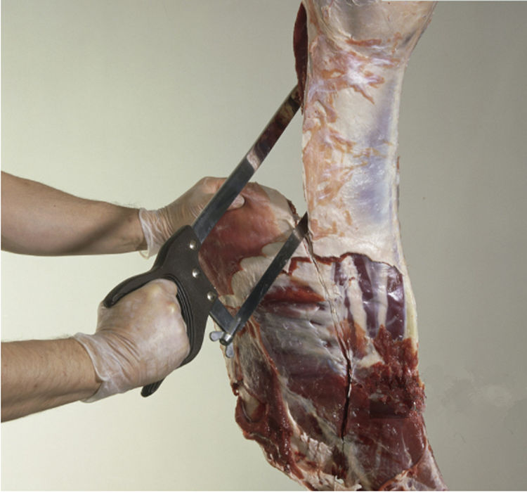 Meat saw