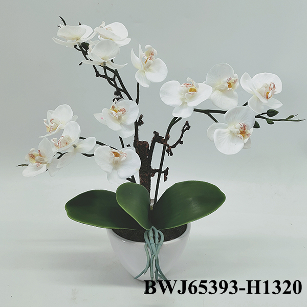 Artificial real touch white orchids for decoration with ceramic base