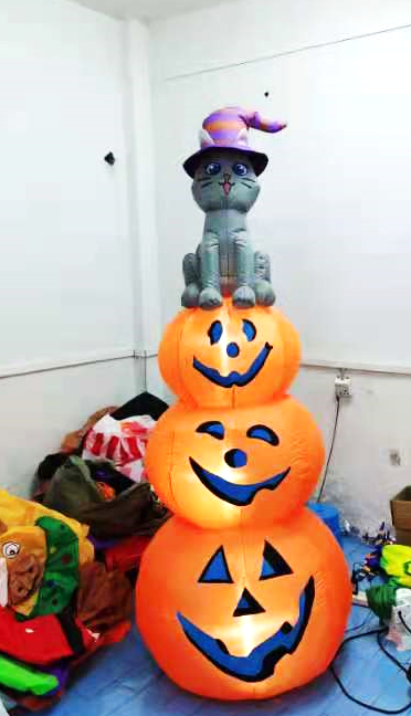 Pumpkin cat