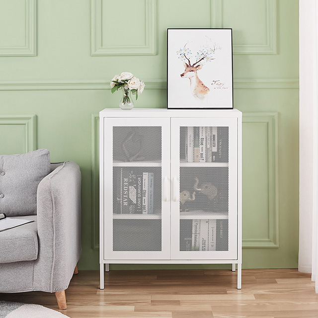 Livingroom reticulation furniture steel materialcabinet