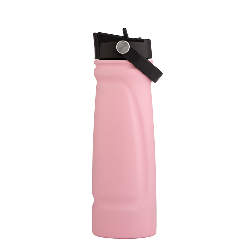 Handle lid stainless steel double vacuum sports bottle GW-S030