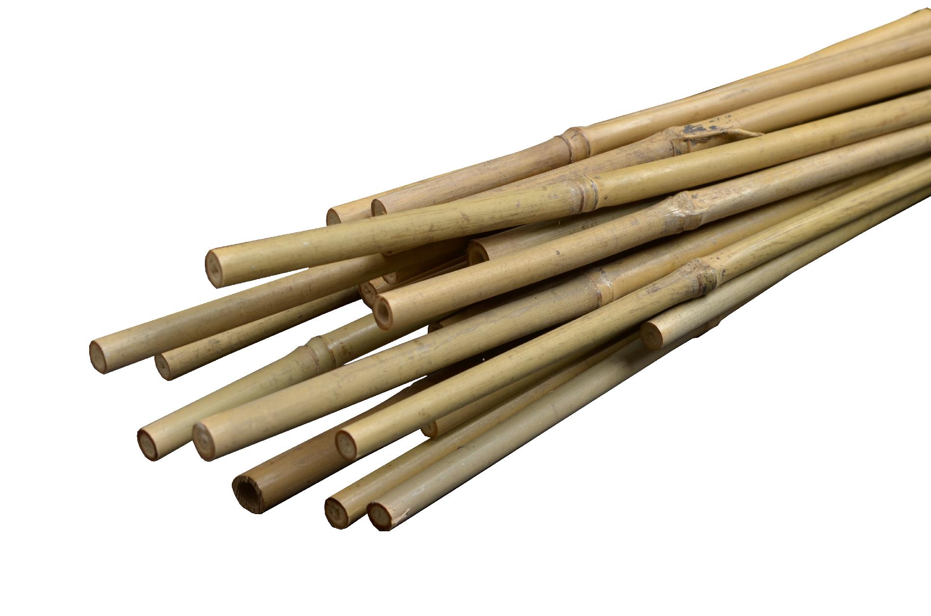 Bamboo Sticks, Plant Support, Garden Support, Spiral Support, Tomato Support, Pe Coated Stick