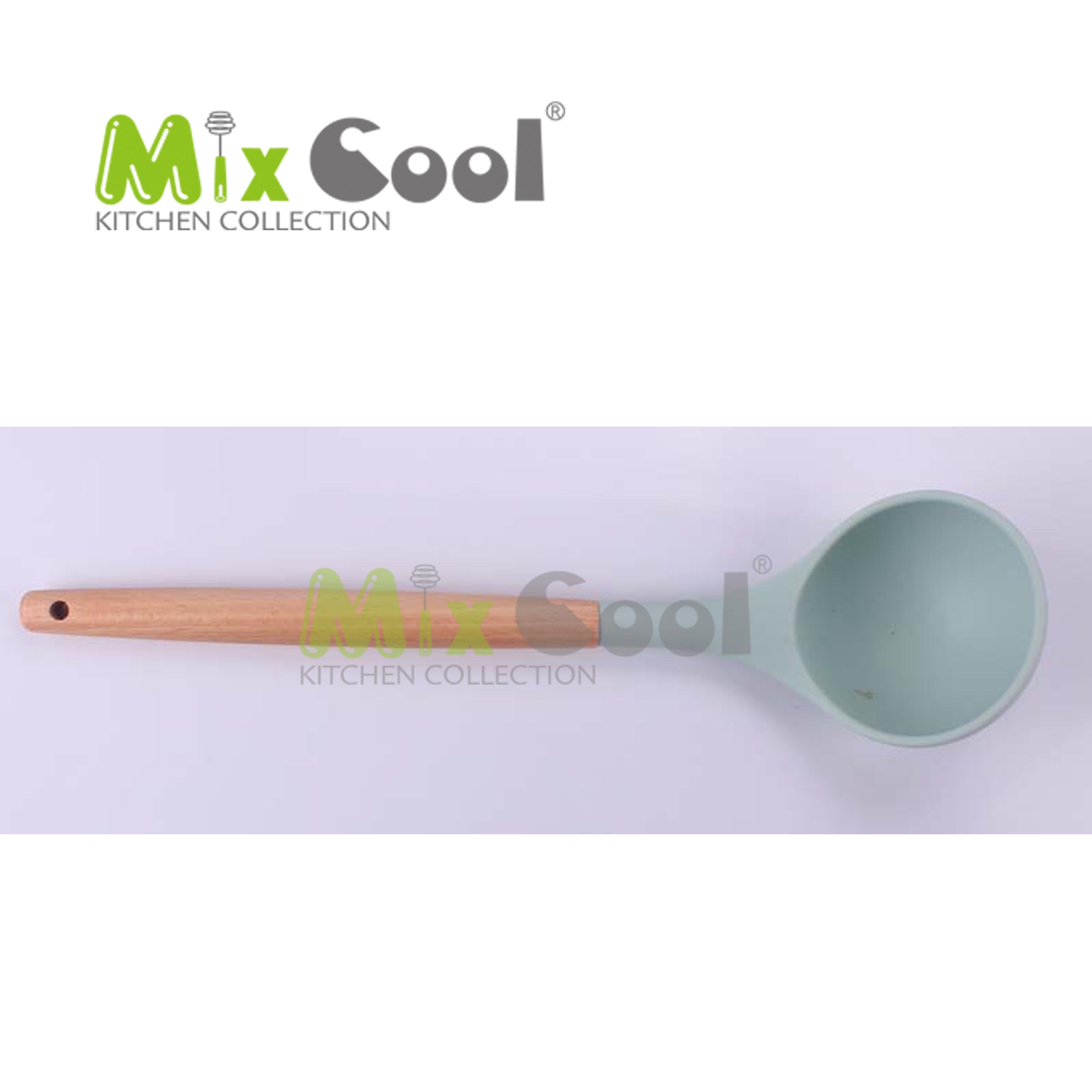 Solid Turner, Slotted Turner, Solid Spoon, Slotted Spoon, Spaghetti Spoon, Ladle, Silicone Spatula