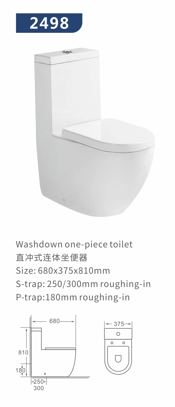 washdown one piece toilet