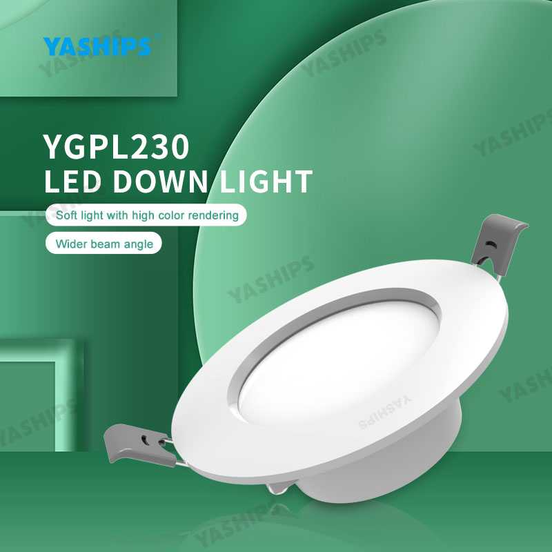 LED Down Light