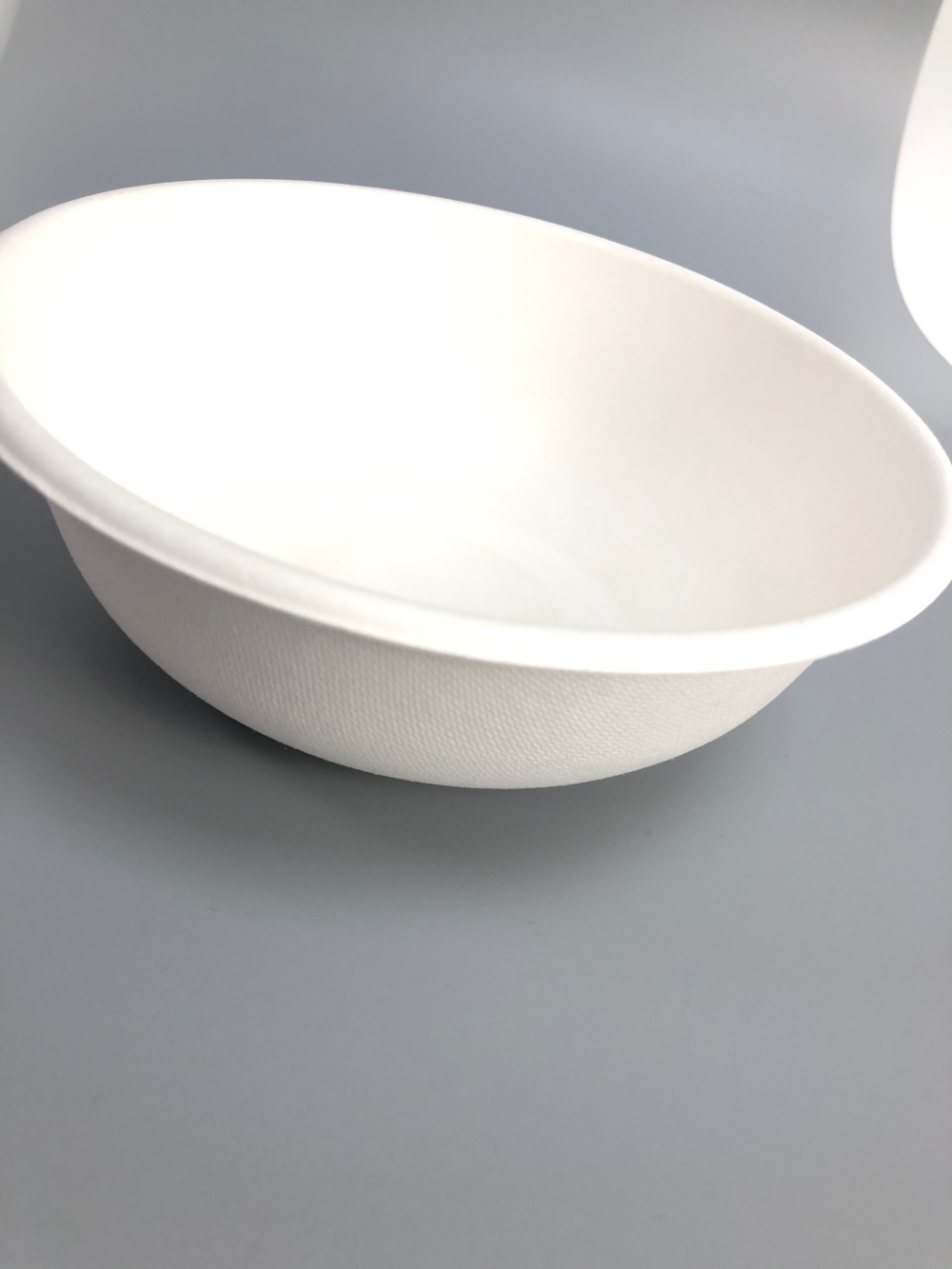 sugarcane tableware