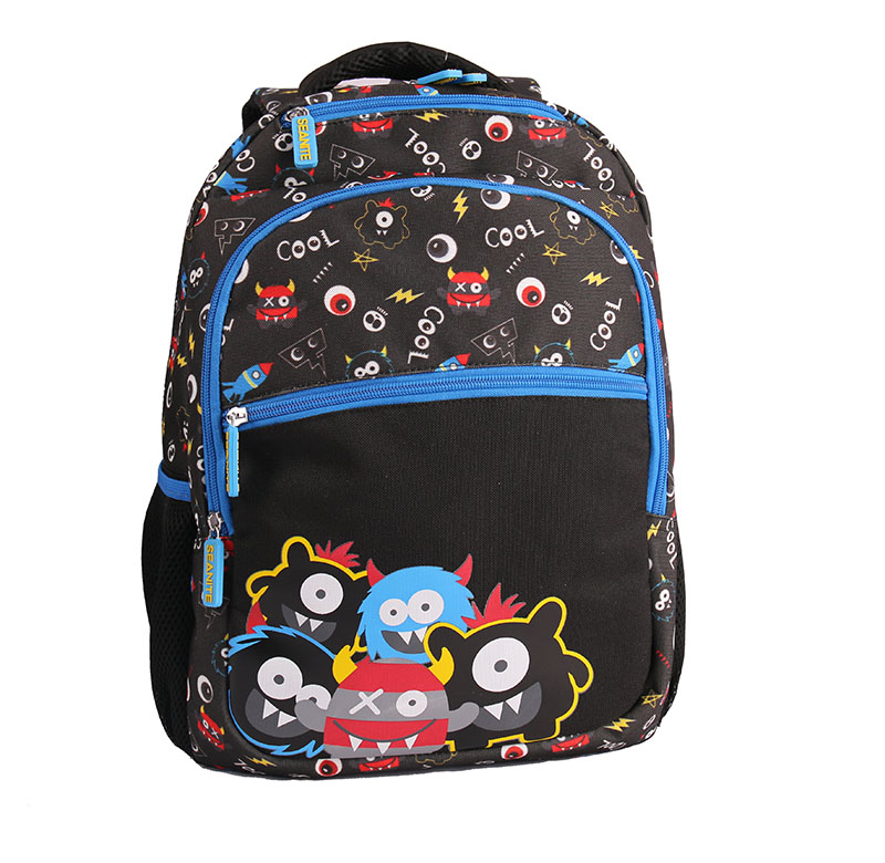 Boys schoolbag