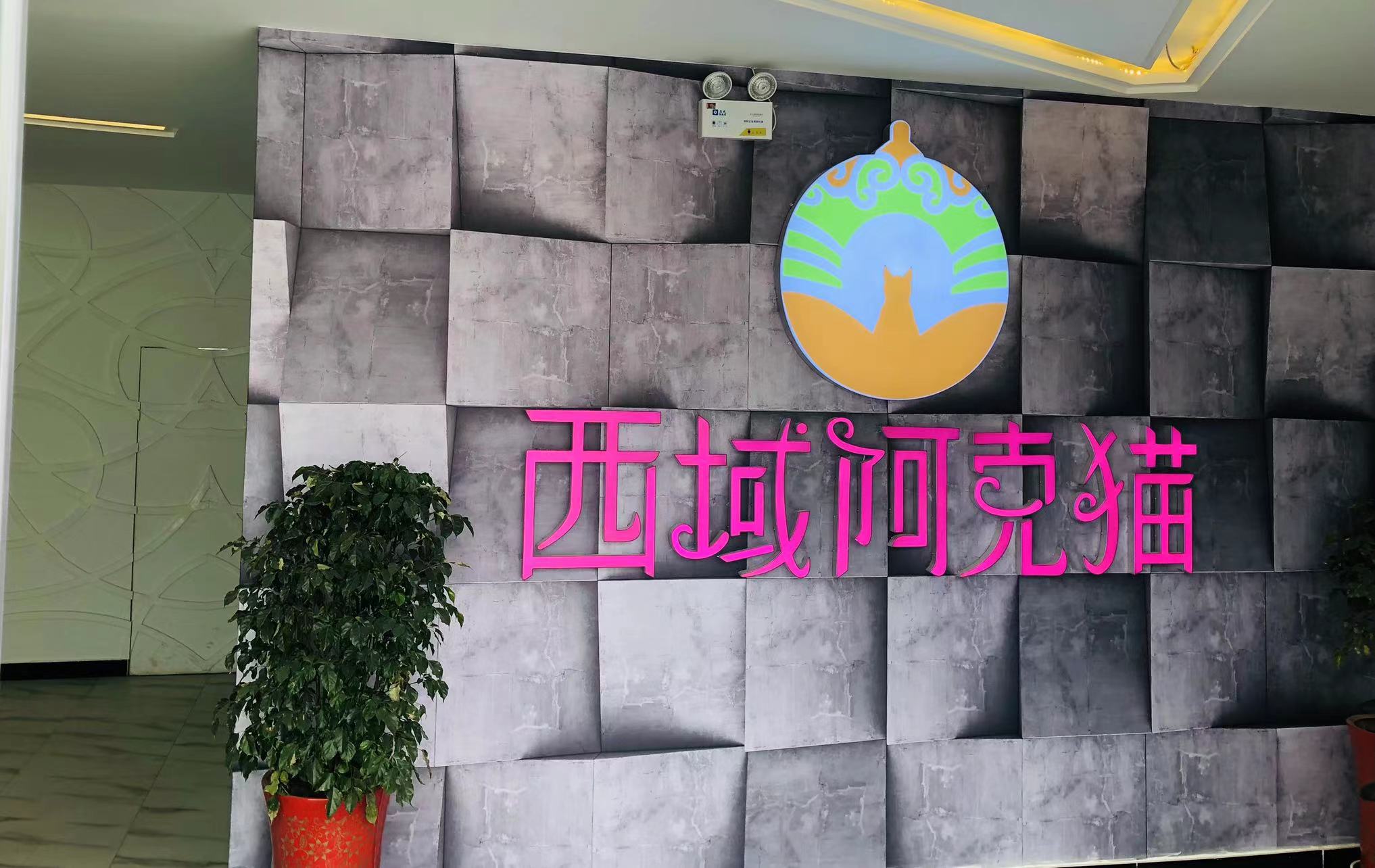 Xinjiang Ake Cat Agricultural Development Co., Ltd. – placa de circuito 1