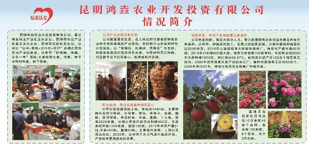 Kunming Hongyao Agricultural Development and Investment Co., Ltd. – motor eléctrico 1