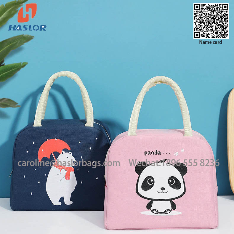 Cute Insulated Lunch Box Cooler Tote Bag School Picnic Travel Outdoors Lunch Bag for Kids