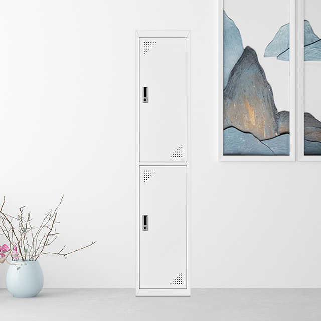 high quality 2-door locker storage cupboard