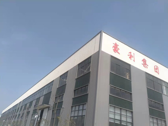 Anhui Haoli Footwear Co., Ltd. – functional shoes 1