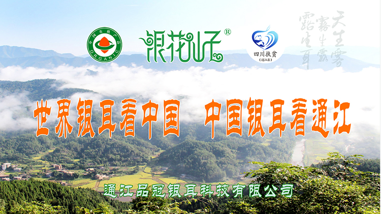 Tongjiang Pinguan Silver Fungus Technology Co., Ltd. – motor eléctrico 1
