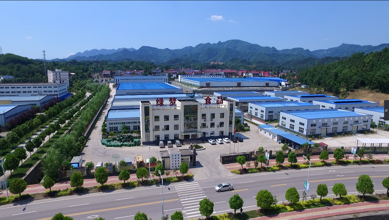 Shaanxi Green Dream Food Co., Ltd. – Nuts and nuts 2