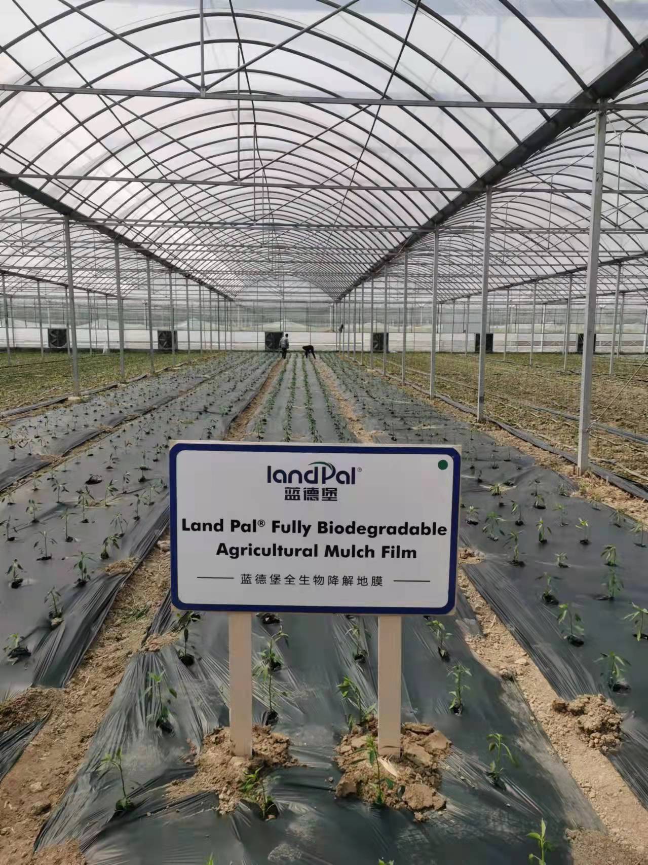 Anhui Yuanpeng International Trade Co.,Ltd – molde de inyección 1