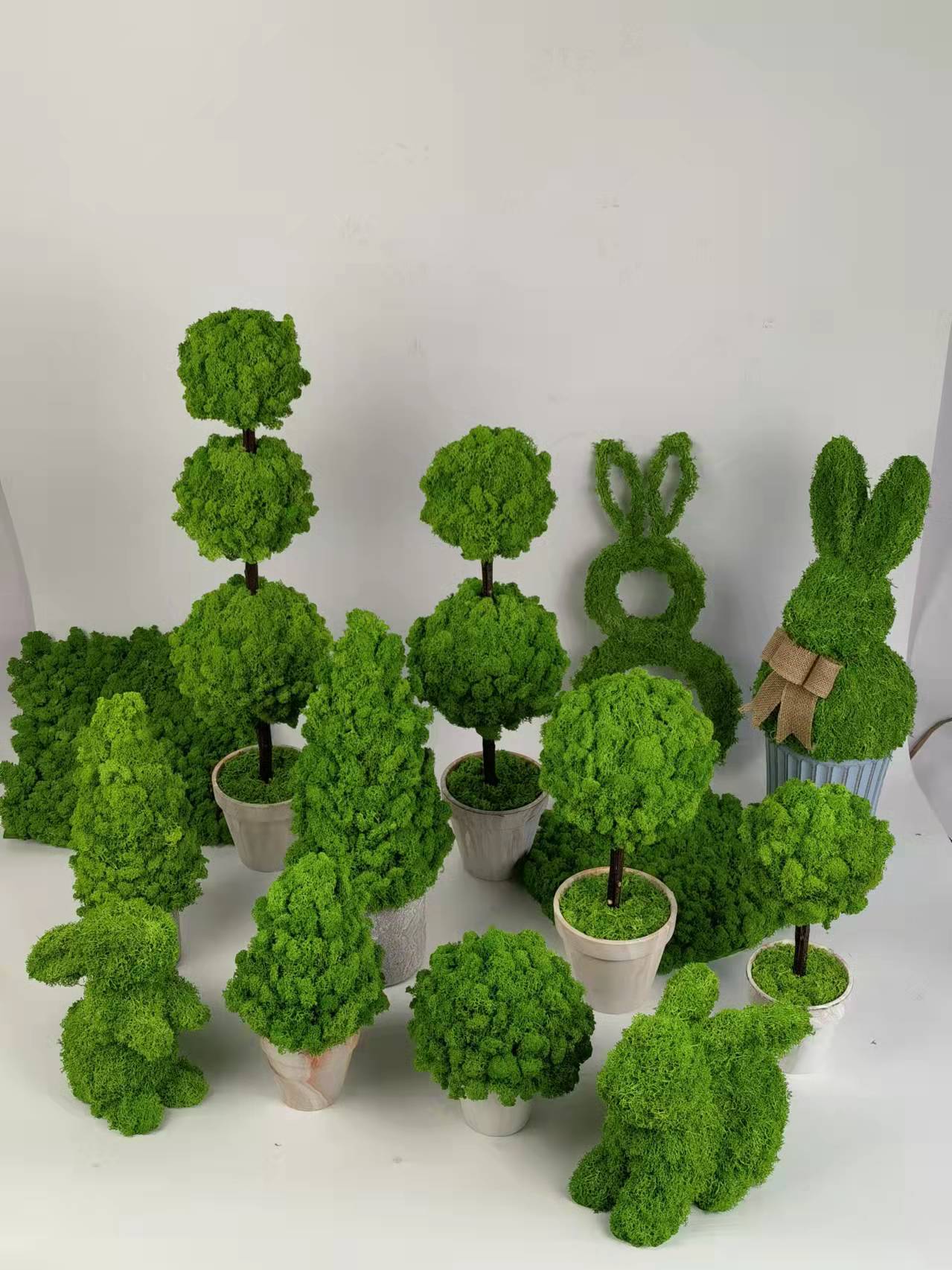 Moss Deco