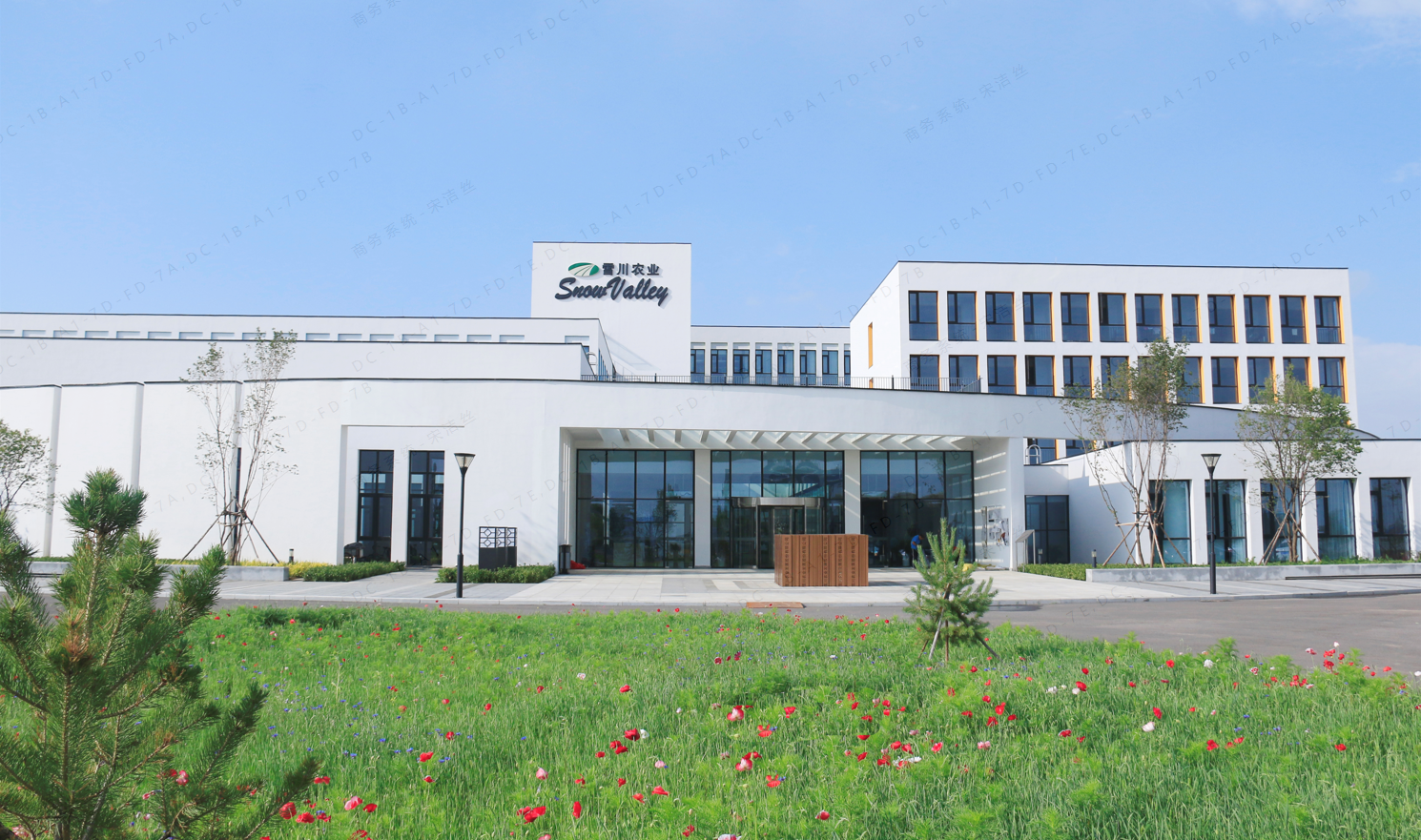 Xuechuan Liupanshan Food (Ningxia) Co., Ltd. – other foods 2