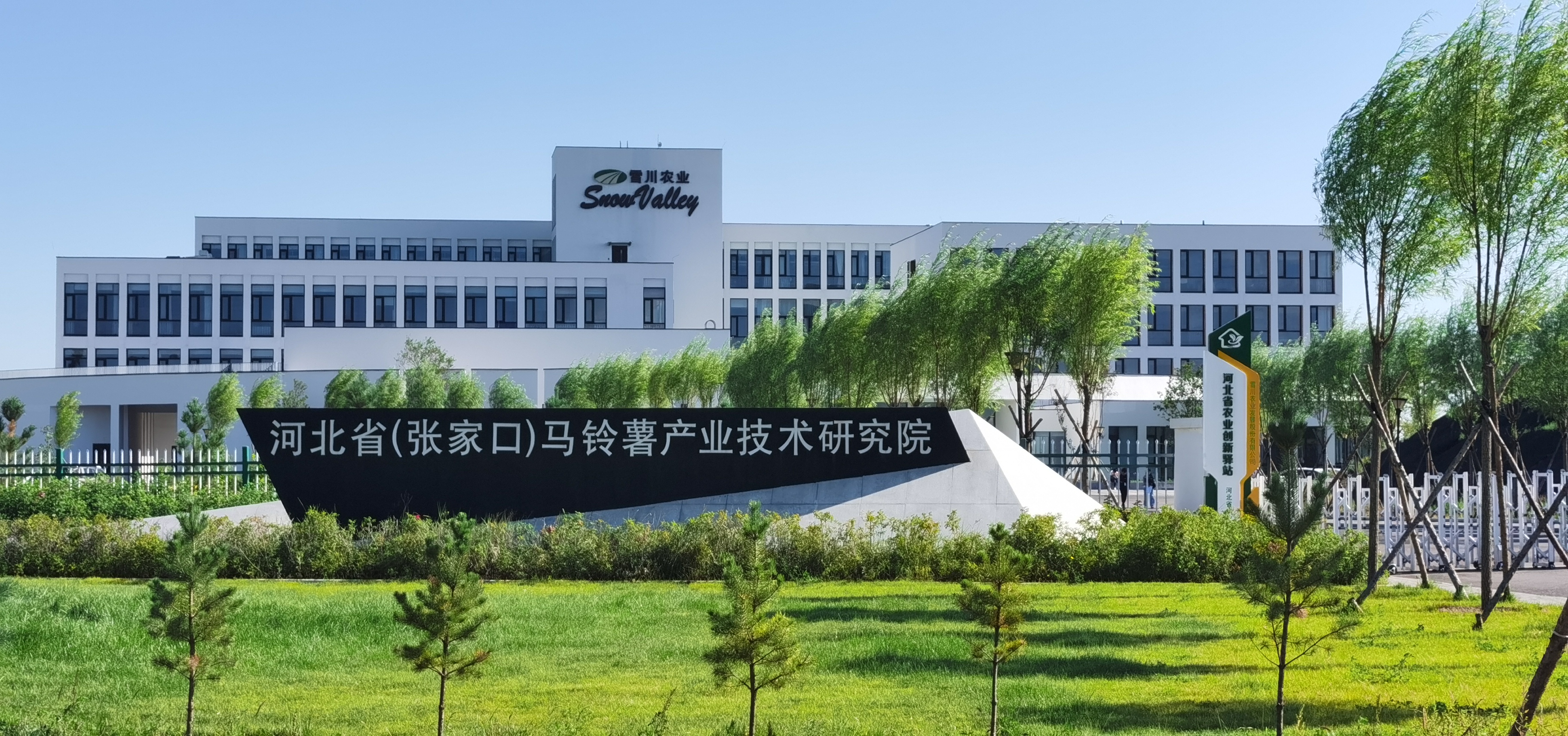 Xuechuan Liupanshan Food (Ningxia) Co., Ltd. – Fresh vegetables 1