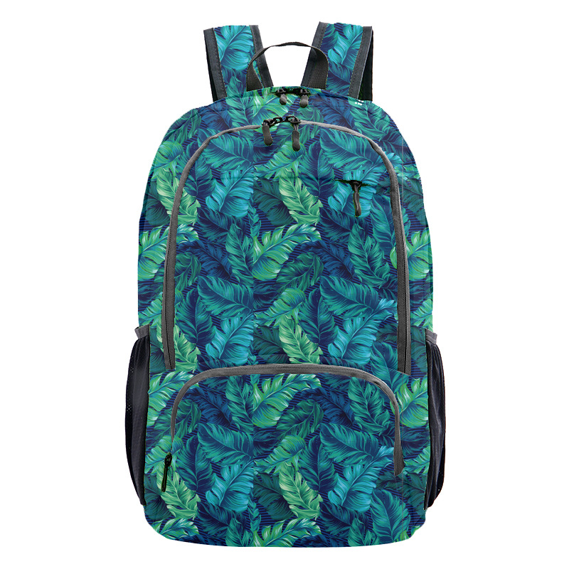 Backpack/School bag