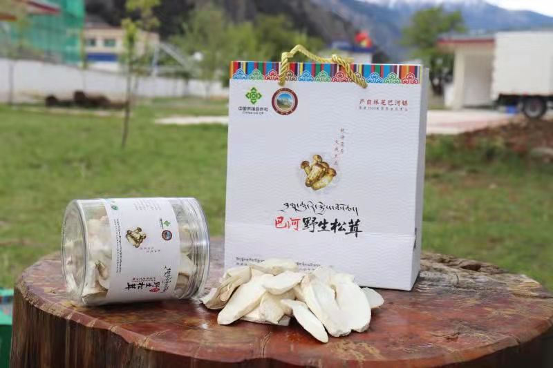 Zhulasongrong, Gongbu Jiangda County Processing Farmers Professional Cooperative – bicicleta de montaña 3