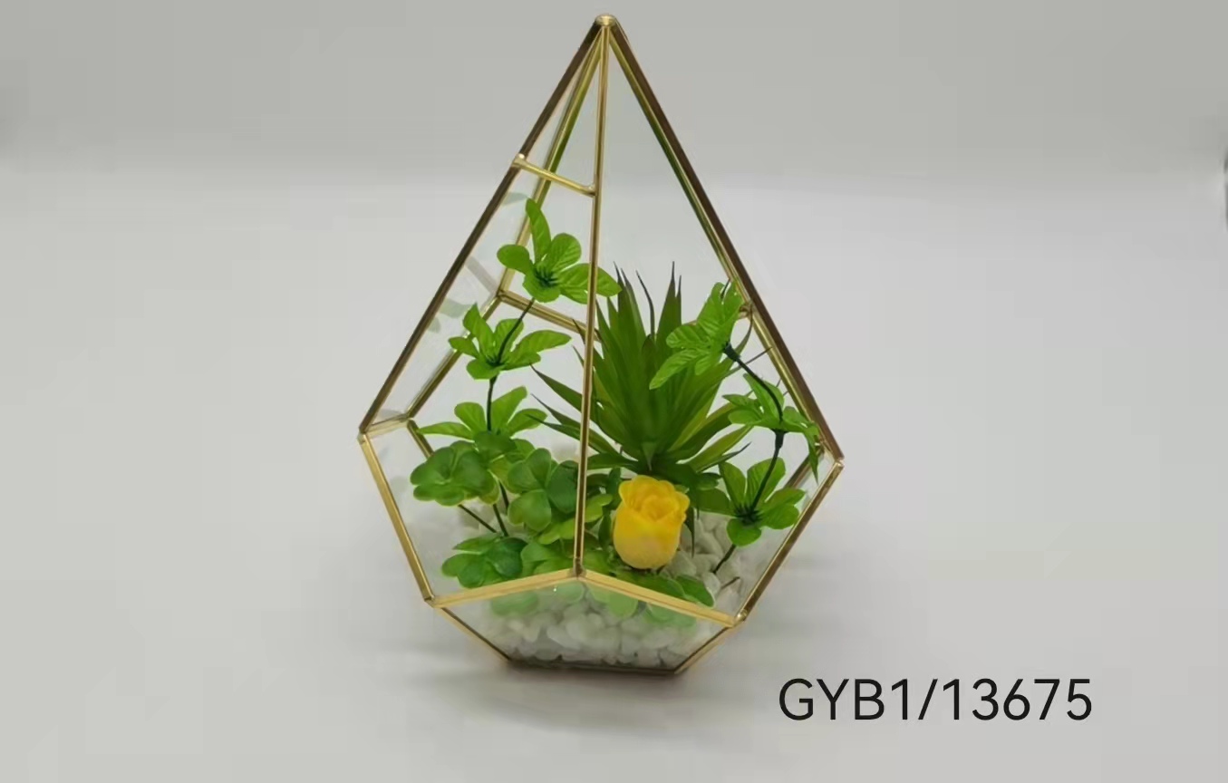 Succulent pot